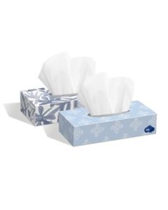 WHITE CLOUD 2 PLY FACIAL TISSUE 30/100