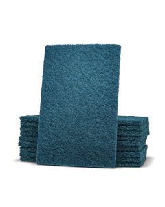 DETEX® Metal Detectable Scouring Pad