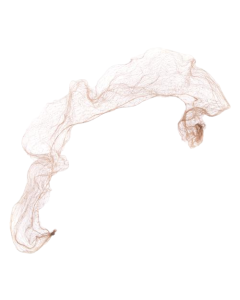 22" Light Brown Lightweight Nylon Hairnets